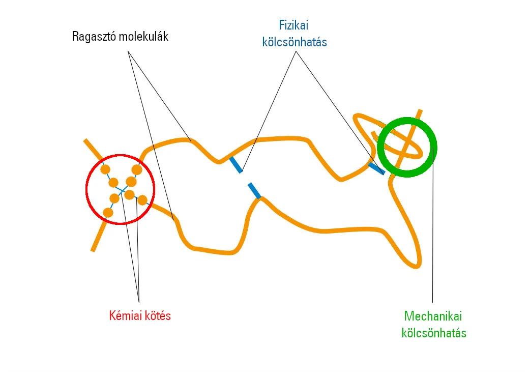 Kohäsionskräfte