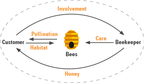 Bienen Kreislauf